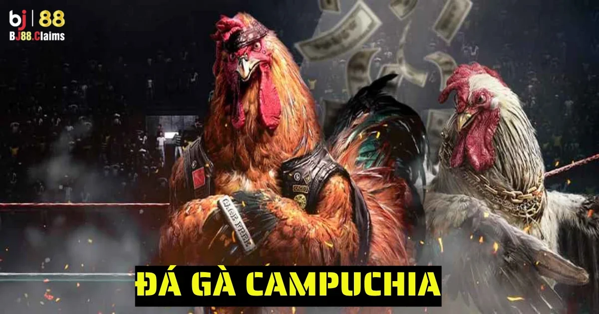 Đá Gà Campuchia: Hướng Dẫn Tham Gia Cược Đá Gà Tại BJ88 1 da ga campuchia 5