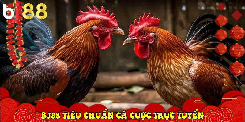 BJ88 ⭐️ Link Trang Chủ Chính Thức BJ88.COM Uy Tín 2026 28 BJ88 xác lập tiêu chuẩn cá cược trực tuyến